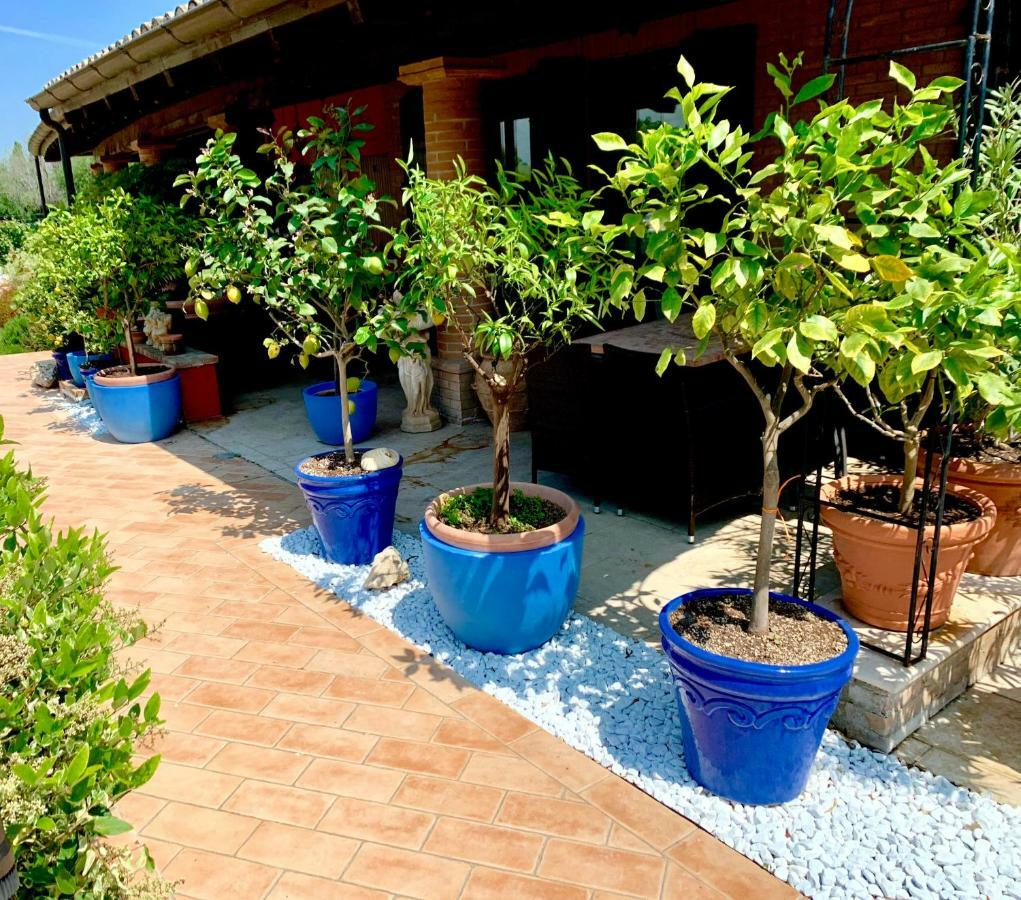 Villa Antares Pésaro Exterior foto
